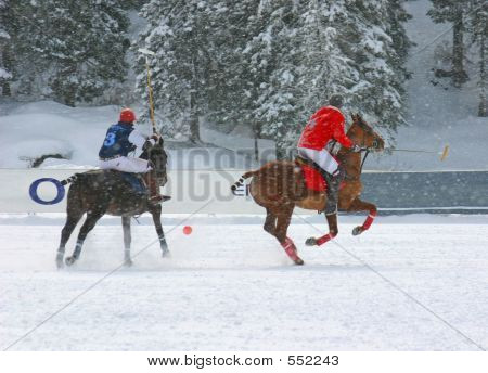 겨울 폴로 경기