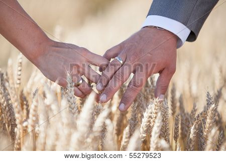 weeding rings