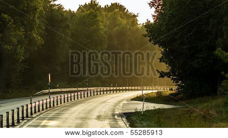 Driving Alone On A Sun Lit Forest Road In Sweden