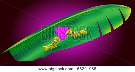 Banana Leaf