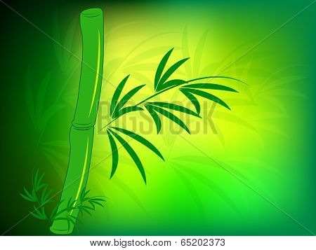 bamboo