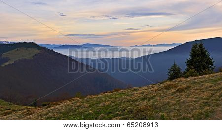 Landscape