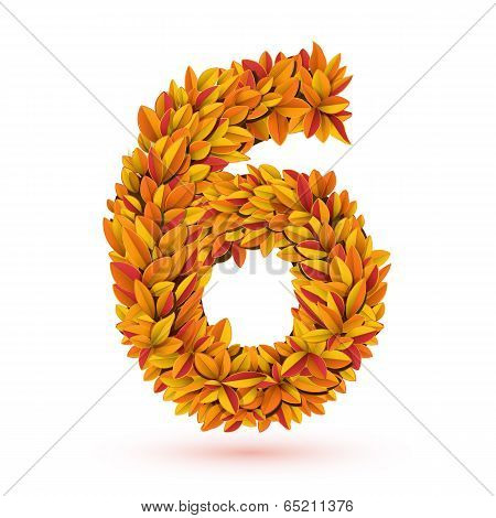 Autunm fall bright orange leaves number