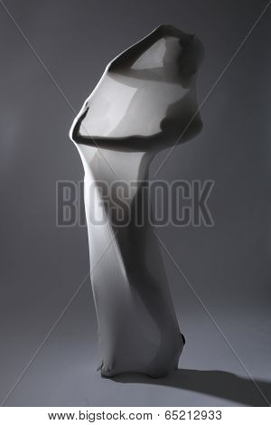 Fit Shapely Woman in Creative Light and Spandex Fabric