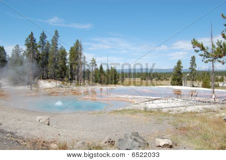 Yellowstone - Firehole Spring