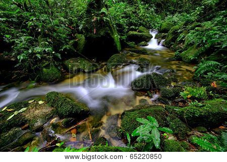 stream