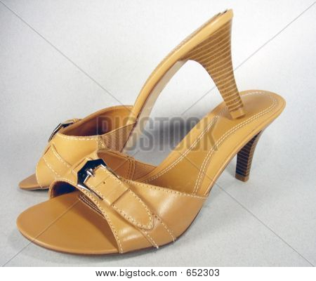 Tan Slides 2