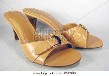 Tan Slides 5