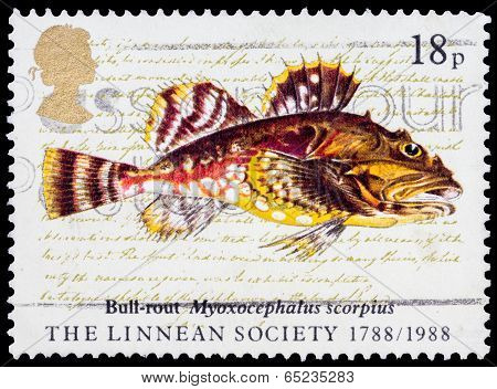 Post Stamp From Great Britain