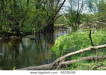 Small River