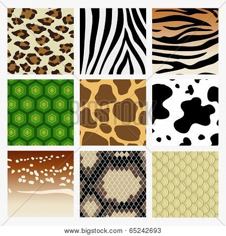 Animal skin
