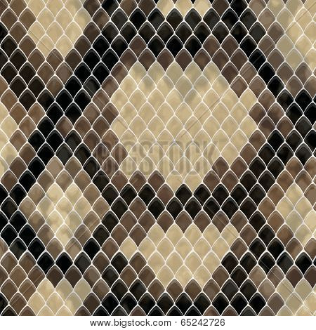 Snake Skin