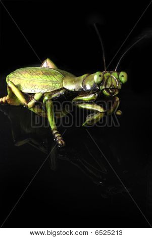 A praying mantis