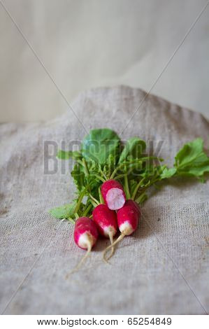 Fresh radish