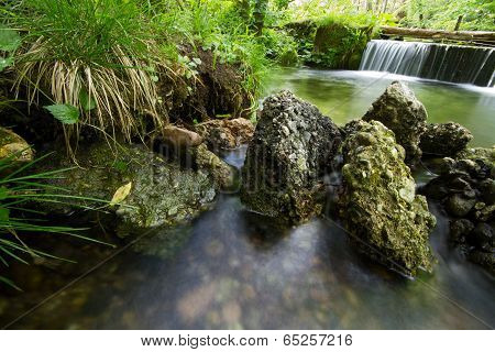 Stream in a marsh