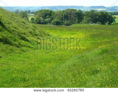 Rural Landscape