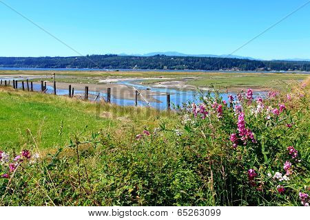 Marrowstone Island. Olympic Peninsula.