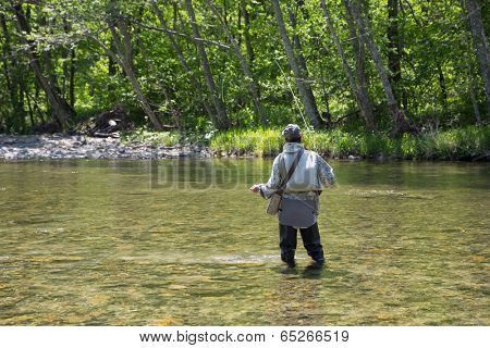 Fisherman catches of salmon fly fishing in the river in may.