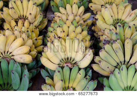 Musa Sapientum Banana In Market, Thailand