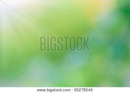 Beautiful Nature Green Bokeh Blurred Background