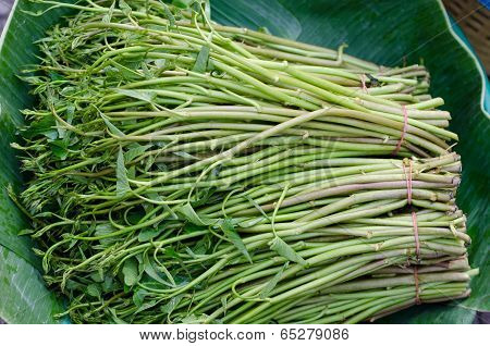 Pile Of Water Morning Glory For Sale In Local Market In Thailand
