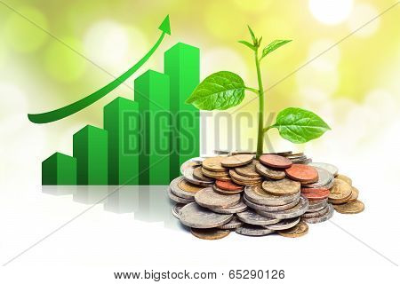 Tree growing on coins