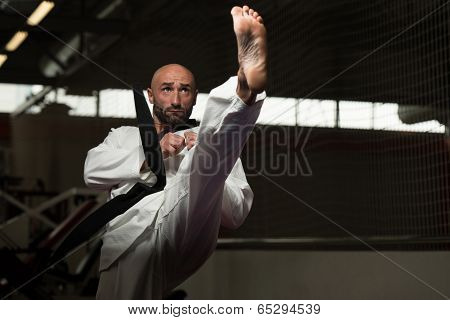 Taekwondo Fighter Pose