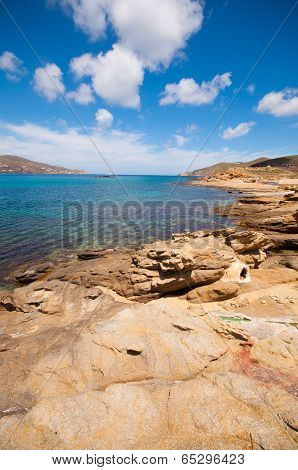 Ftelia Beach In Mykonos