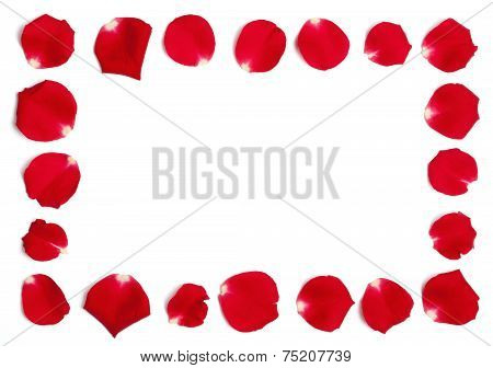 Red Rose Petals Frame