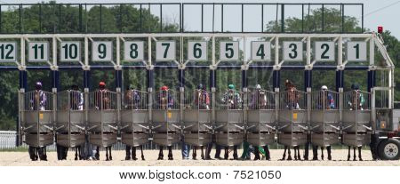 Before Horse Race.