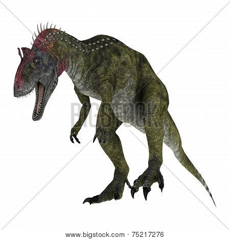 Dinosaur Cryolophosaurus