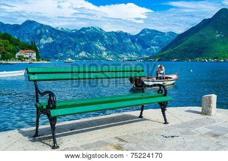 The Green Bench