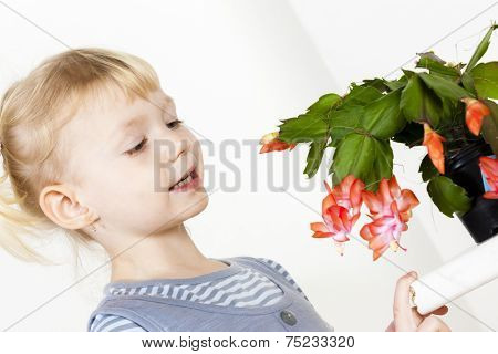 portrait of little with Christmas cactus