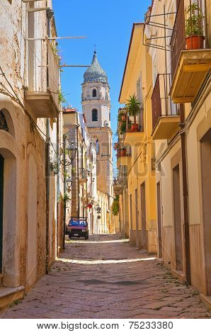 Alleyway. San Severo. Puglia. Italy.