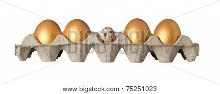 Different Kind Of Egg