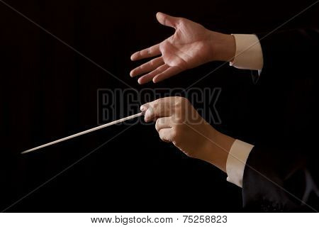 Orchestra conductor hands baton. Music male director holding stick