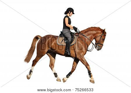 Beautiful Brunette Woman Trotting With Chestnut Horse Isolated On White