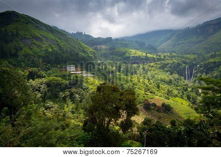 Landscape of Sri Lanka