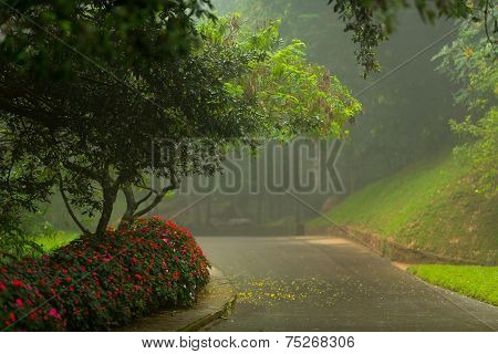 Botanical Garden Hakgala