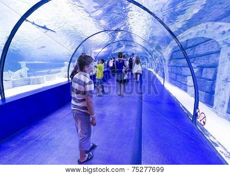 Antalya, Turkey-1 September 2014 People in the  aquarium. IT  is  longest of  world panoramic tunnel
