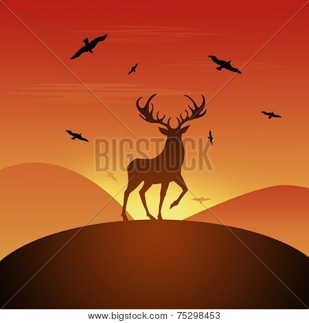 Deer at sunset