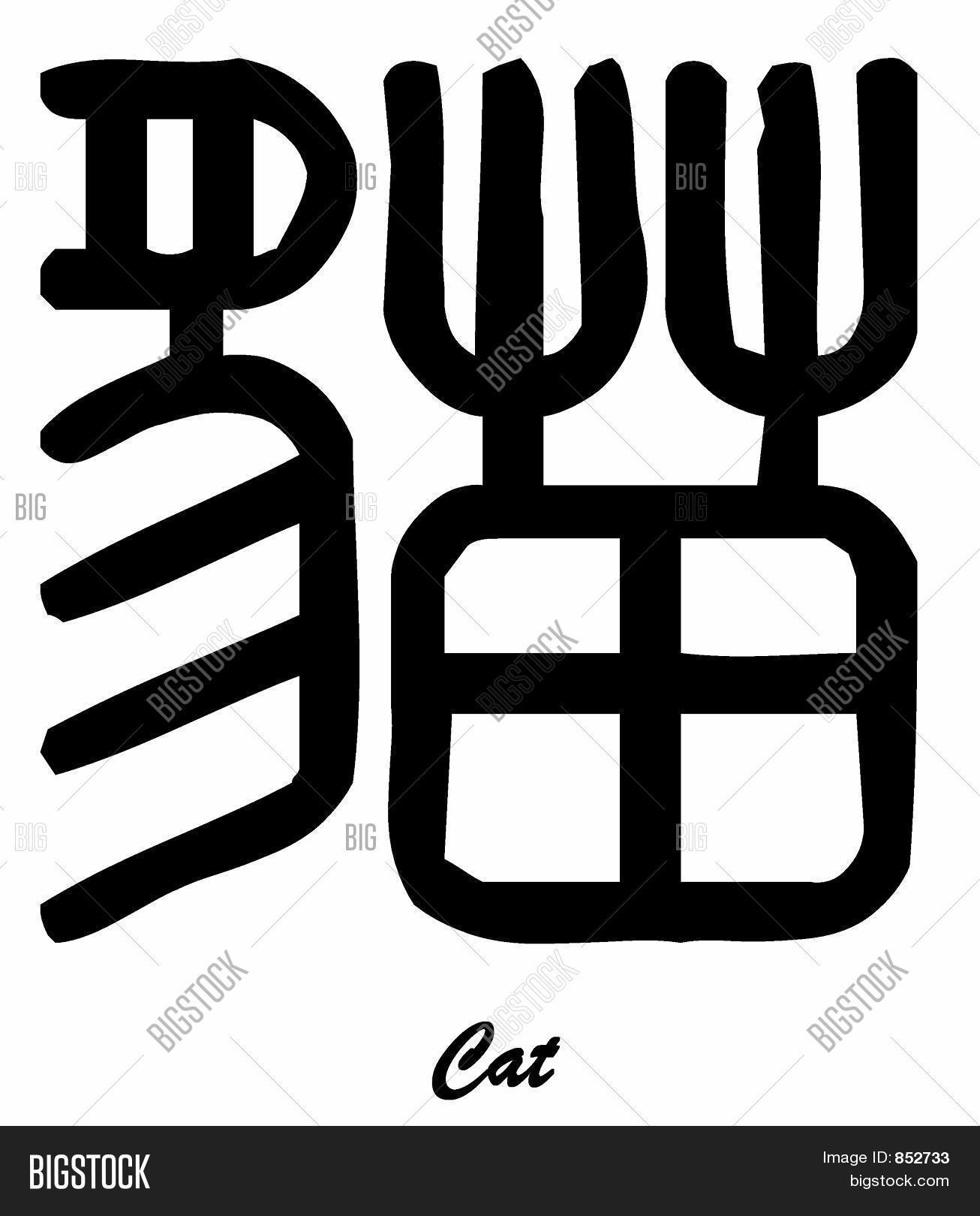 Cat Kitten (Chinese Image & Photo (Free Trial) Bigstock