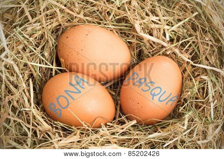 bona pascua against three eggs