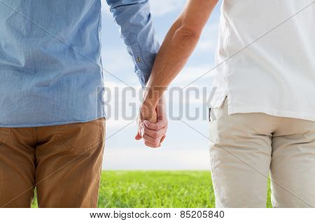 people, homosexuality, same-sex marriage, gay and love concept - close up of happy male gay couple holding hands from back over blue sky and grass background