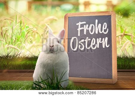 Easter bunny against frohe ostern