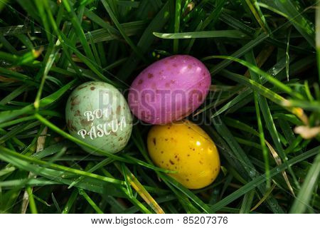 boa pascua against small easter eggs nestled in the grass