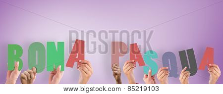 Hands holding up bona pasqua against purple vignette