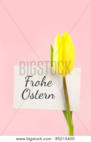frohe ostern against tulip with card