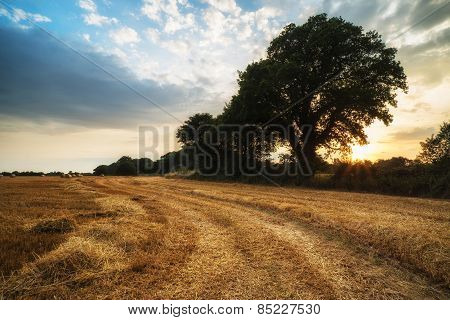 Rural Landscape Image Of Summer Sunset Over Field Of Hay Bales