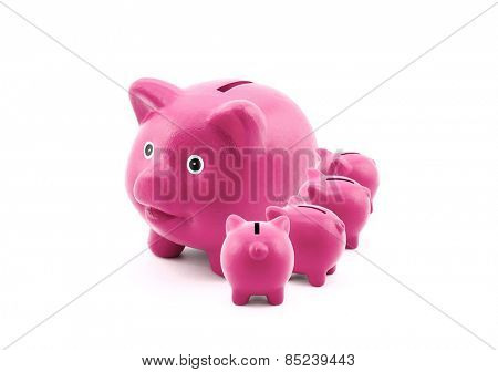 Pink piggy banks feeding from their mother